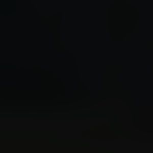 Meet your Posher, Noah